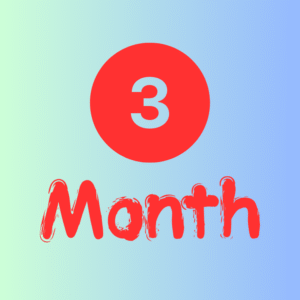 3 Months Subscription Plus