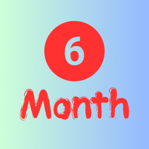 6 Months Subscription